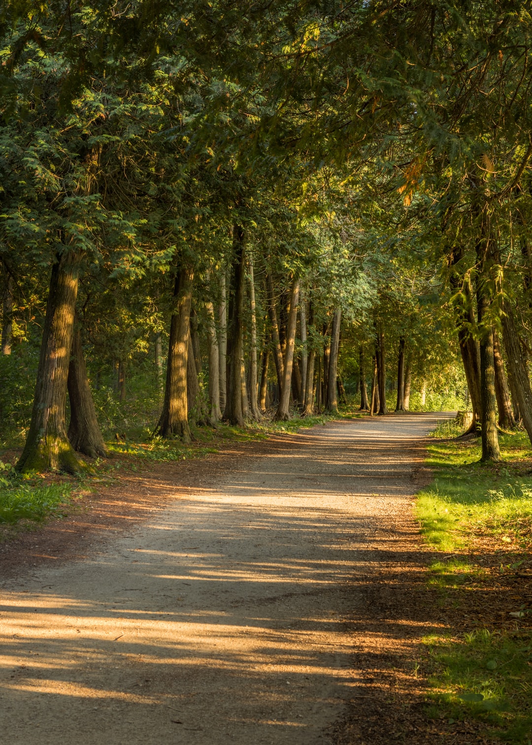 Read more about the article Helping to Reveal a Still-Shuttered World