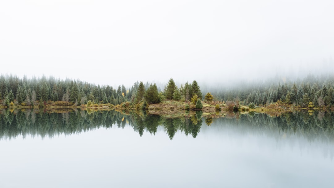 Read more about the article Celebrate nature on International Mountain Day
