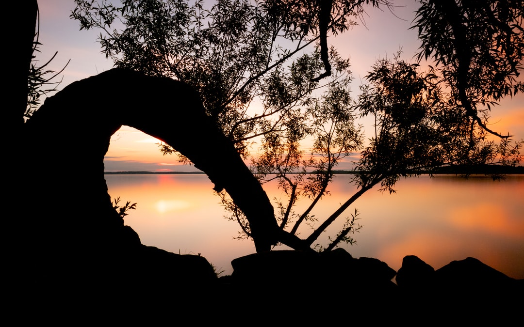 Read more about the article Chile Rewrites Its Constitution, Confronting Climate Change Head On
