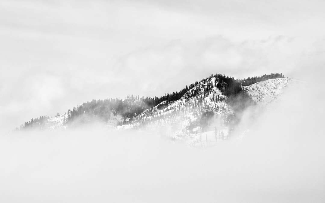 Read more about the article An Evangelical Climate Scientist Wonders What Went Wrong