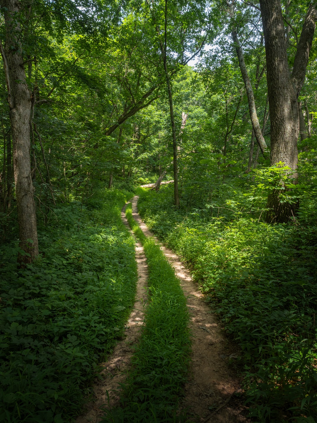 Read more about the article Kentucky coal mine to become clean energy water battery project