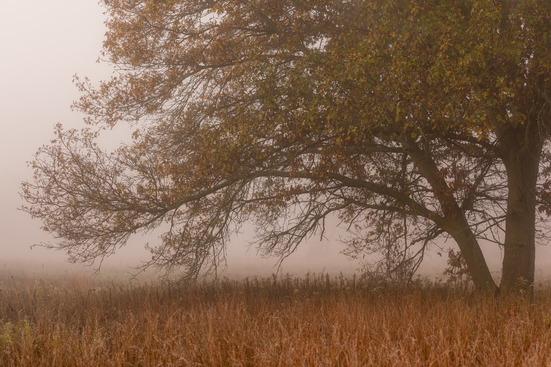 Read more about the article Why the Coming Months Will Be Critical for Biden’s Climate Plan