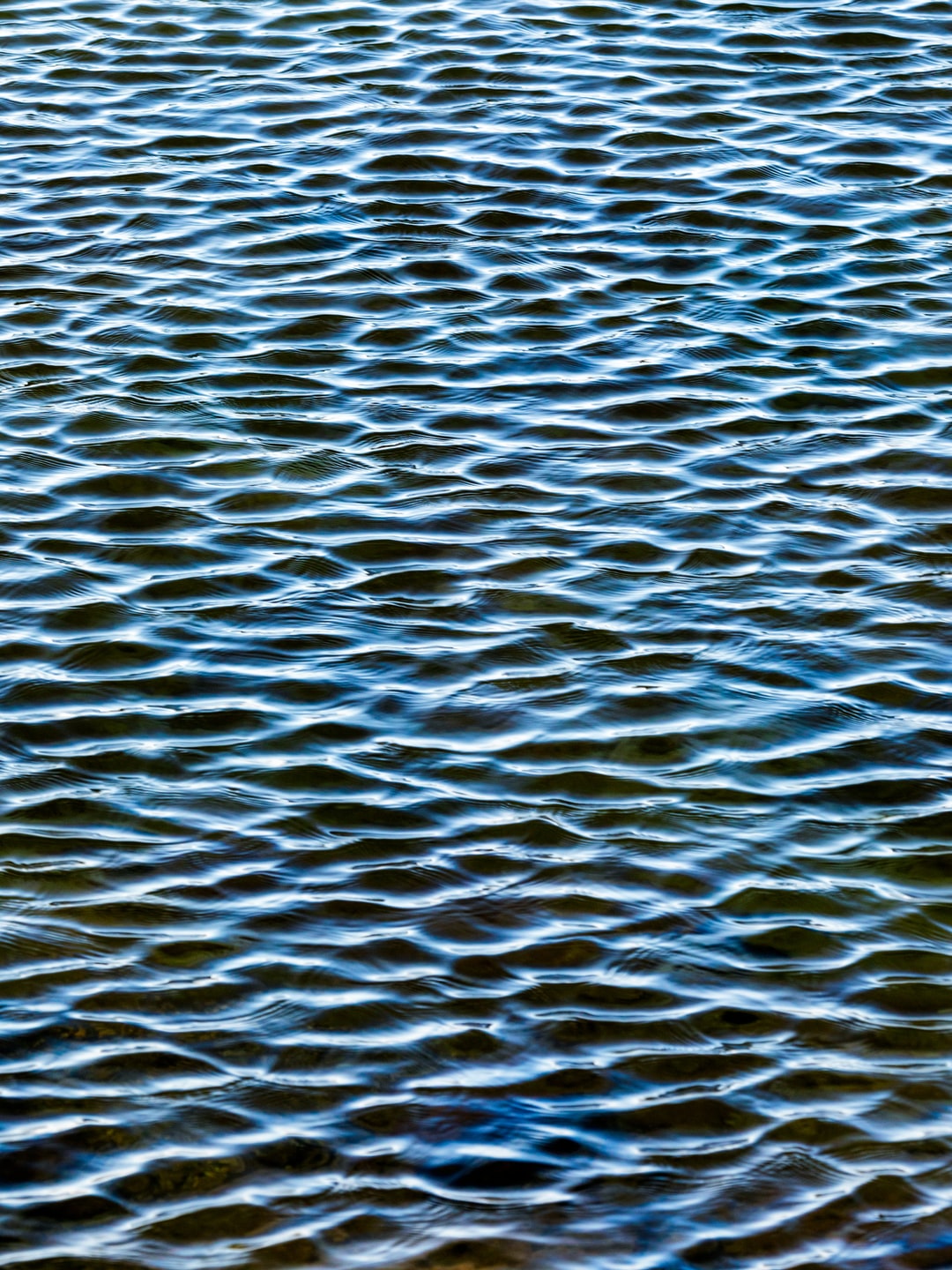 Read more about the article Six Questions to Help You Understand the 6th Warmest Year on Record