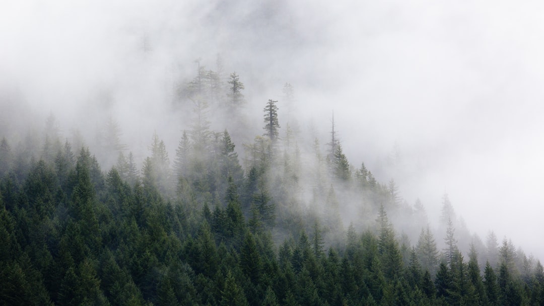 Read more about the article Urban Forest is set to be the greenest residential building