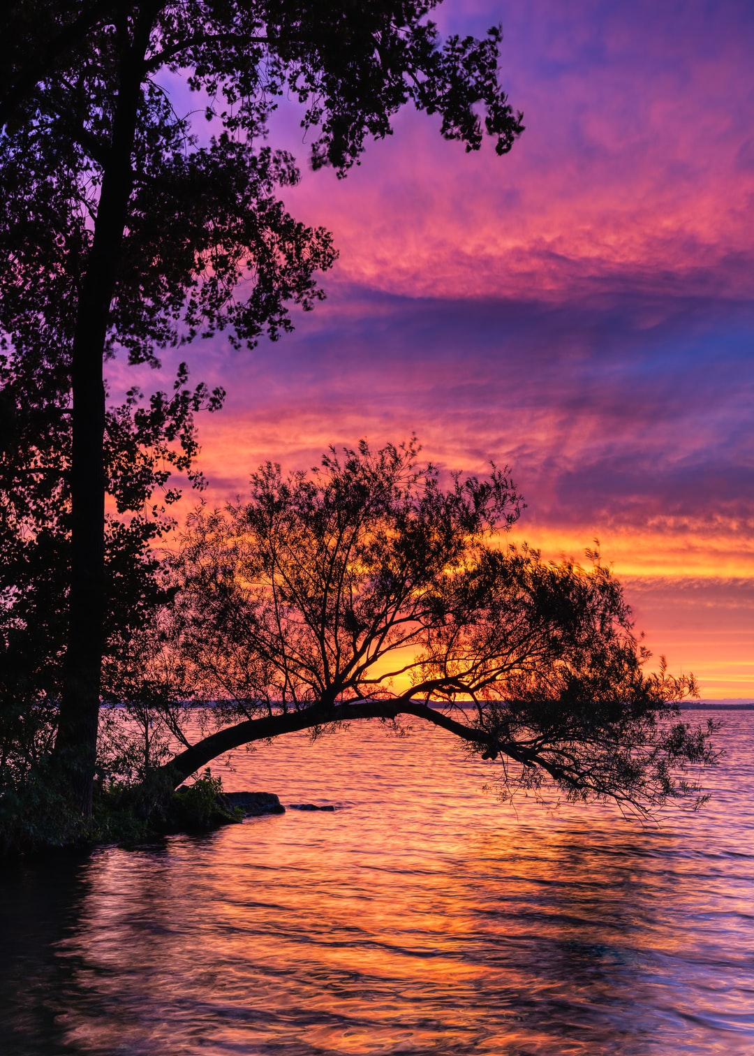 Read more about the article 5 Takeaways From the U.N. Report on Climate Hazards