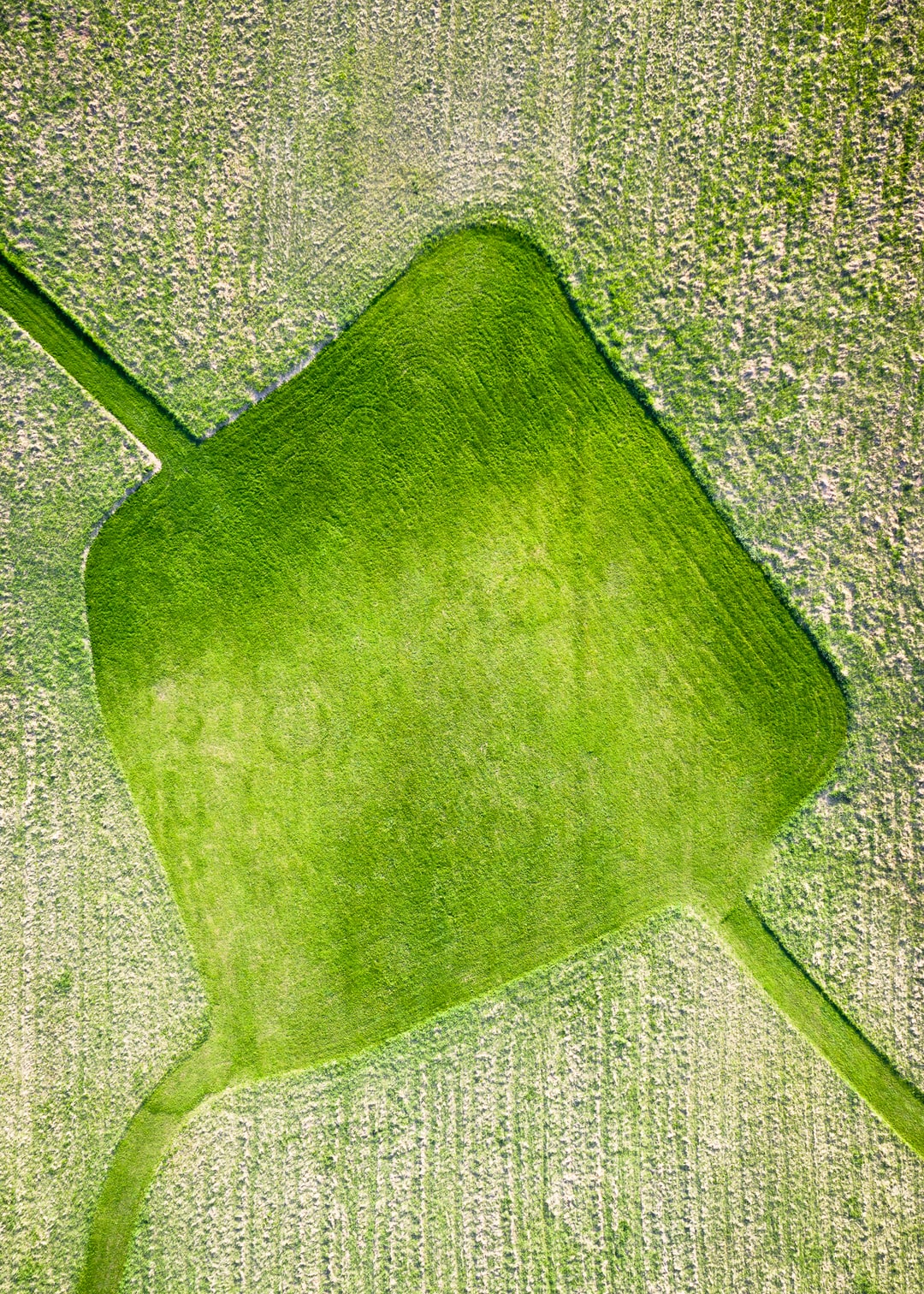 Read more about the article New bio-based textile fiber from Nordic Bioproducts Group