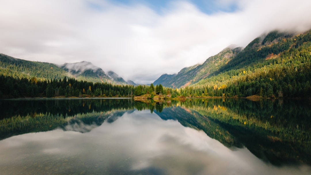Read more about the article At the Sierra Club, a Focus on Race, Gender and the Environment, Too