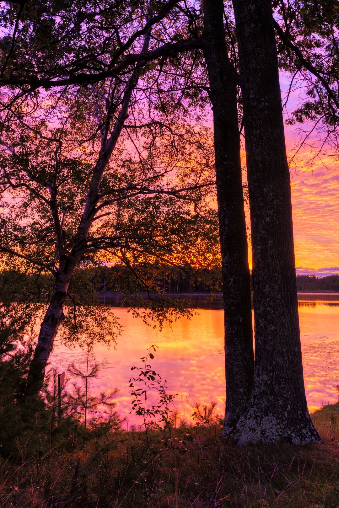 Read more about the article Creeks, Once Overlooked, Are Now Seen as Assets for Urban Renewal