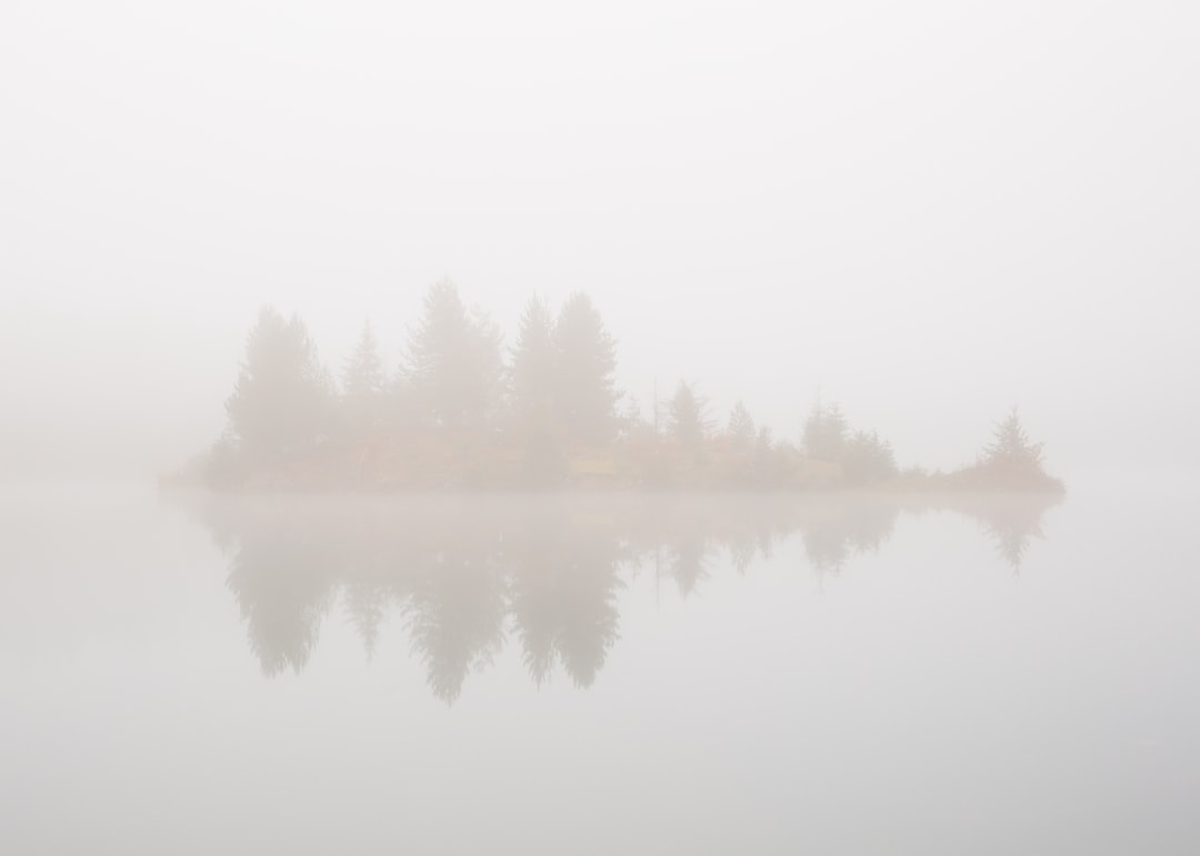Read more about the article Research links air pollution and autoimmune diseases