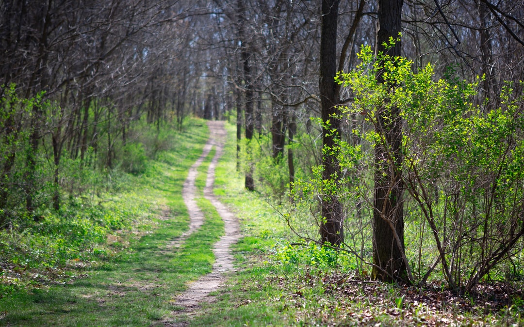 Read more about the article The biggest environmental news of the past decade