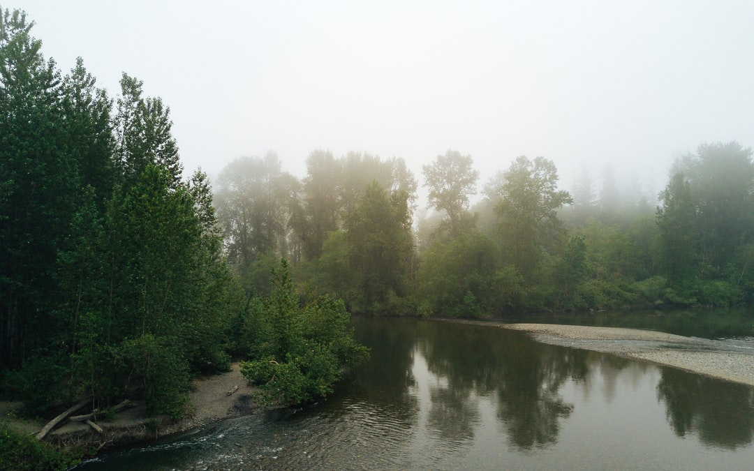 Read more about the article Climate Change Is Killing Her Country. Who Will Decide if It Lives?