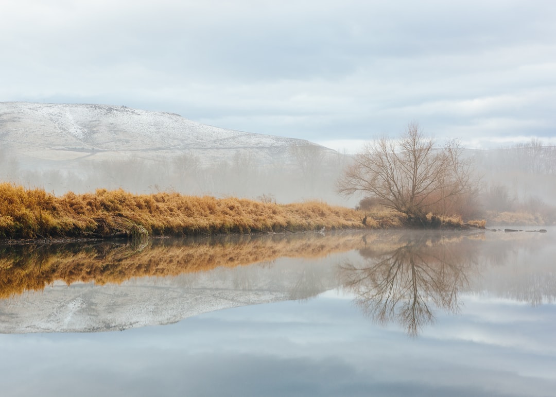 Read more about the article Ukraine War and U.S. Politics Complicate Climate Change Fight
