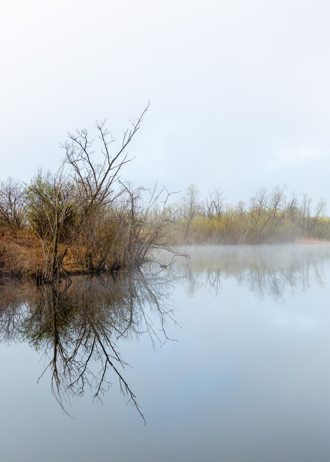 Read more about the article The New York Times Climate Newsletter