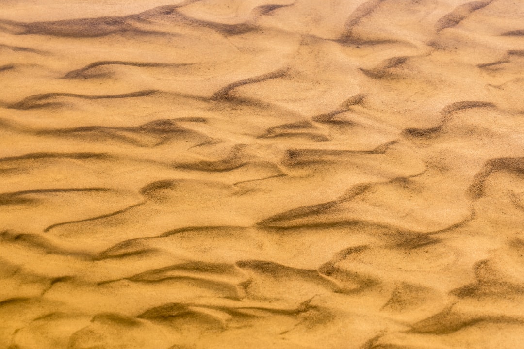 Read more about the article A new IPCC report says we are hurtling toward extinction