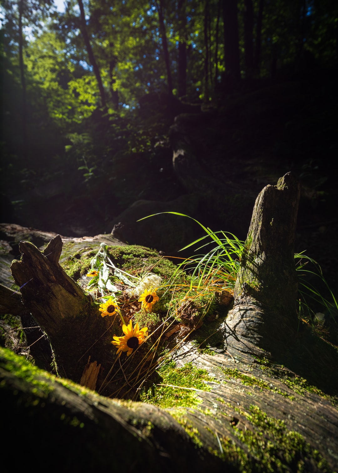 Read more about the article Eco-friendly furniture from Studio Seitz can last a lifetime