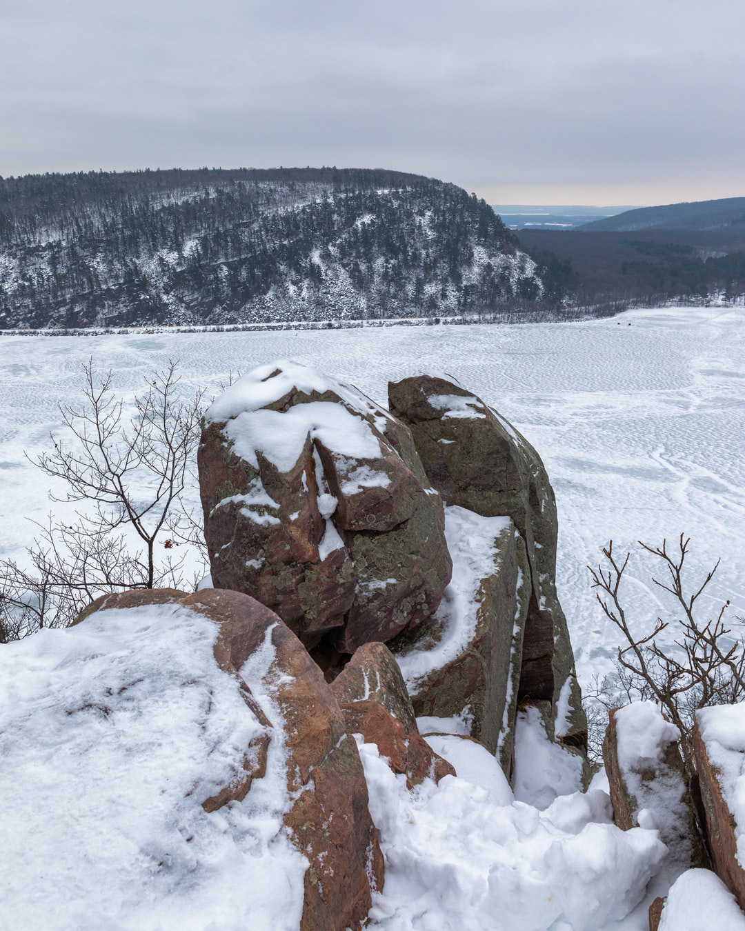 Read more about the article How Should Art Reckon With Climate Change?