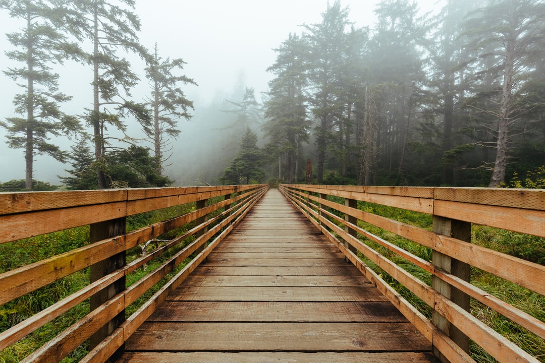 Read more about the article Microsoft’s Pursuit of Climate Goals Runs Into Headwinds