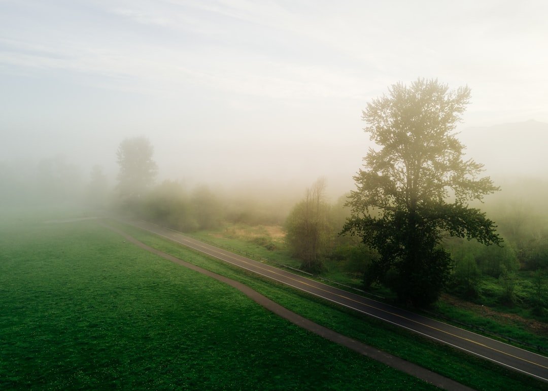 Read more about the article Spring Brings Joy, Even in a World on Fire