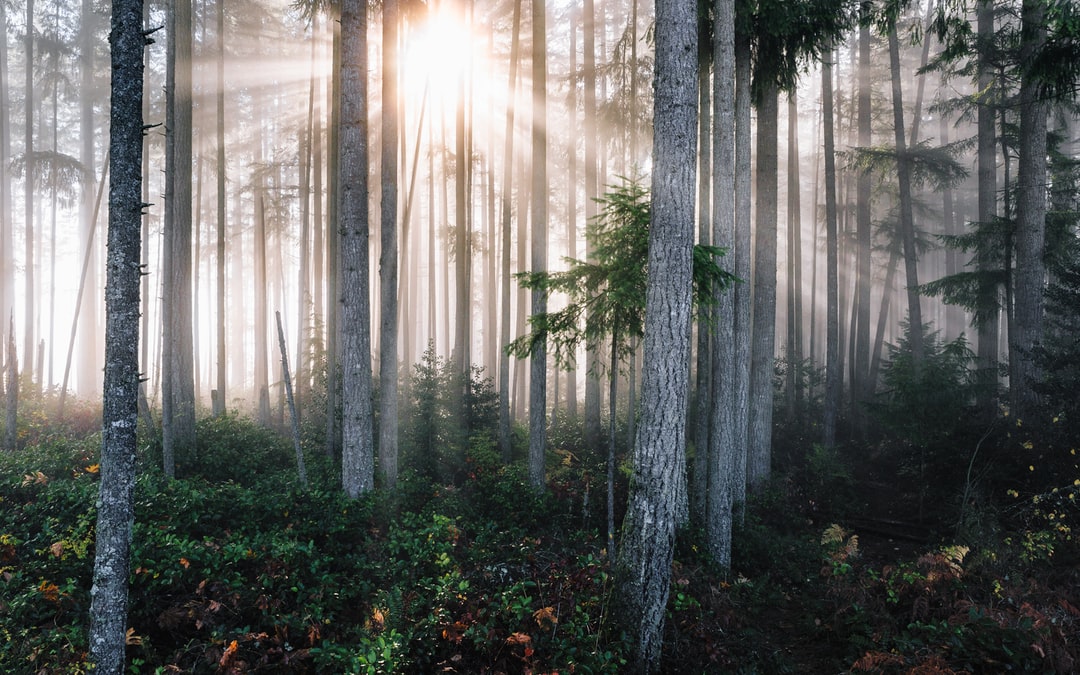 Read more about the article Here’s what Biden’s budget would do, and not do, for climate change