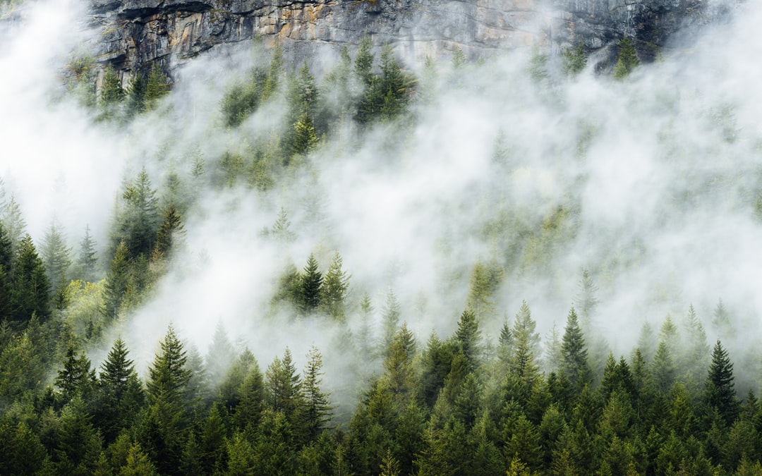 Read more about the article Informe del IPCC: hay poco tiempo para detener el cambio climático