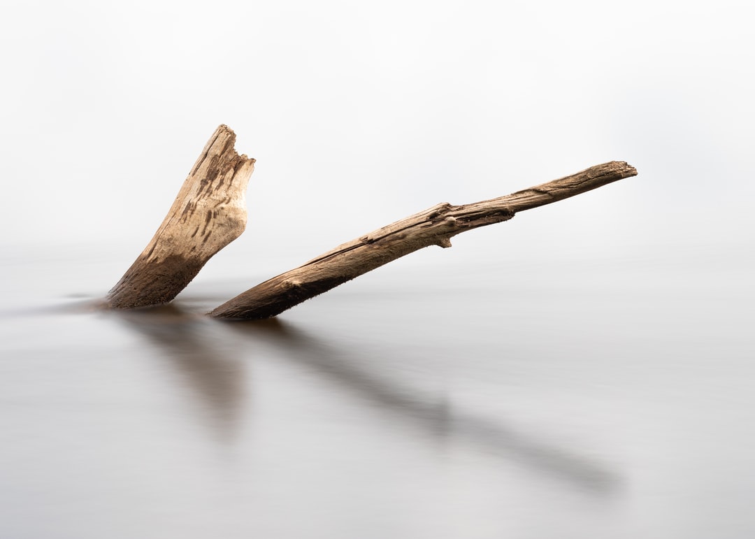 Read more about the article How Conflicts of Interest Are Hurting the Climate