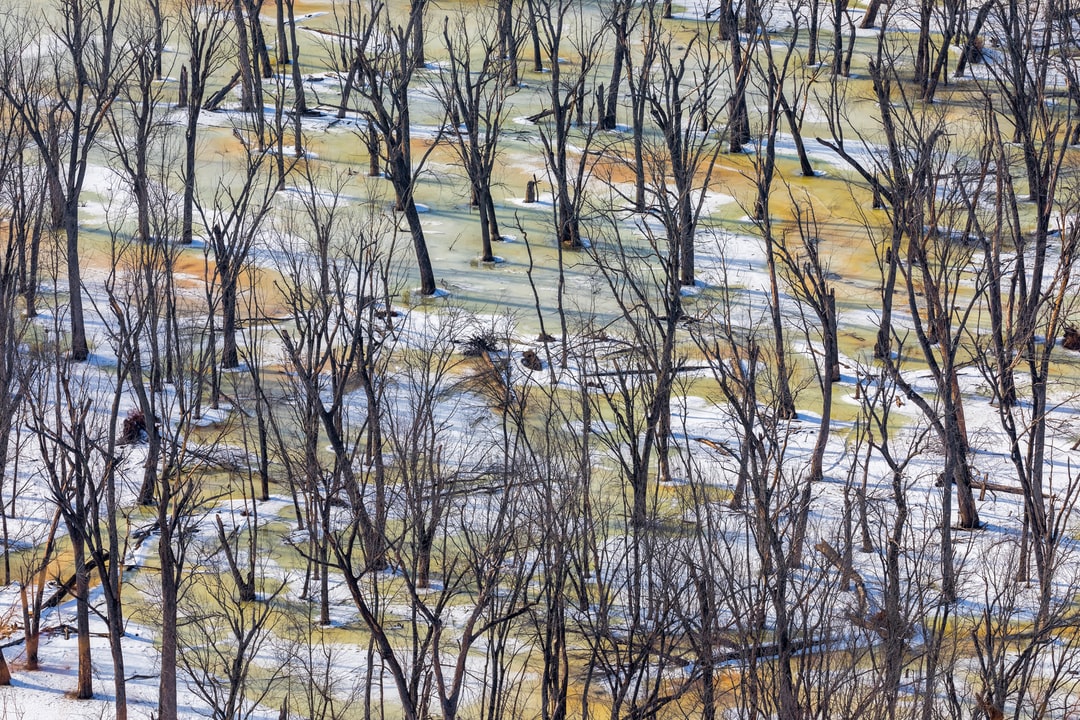 Read more about the article Fires, Then Floods: Risk of Deadly Climate Combination Rises