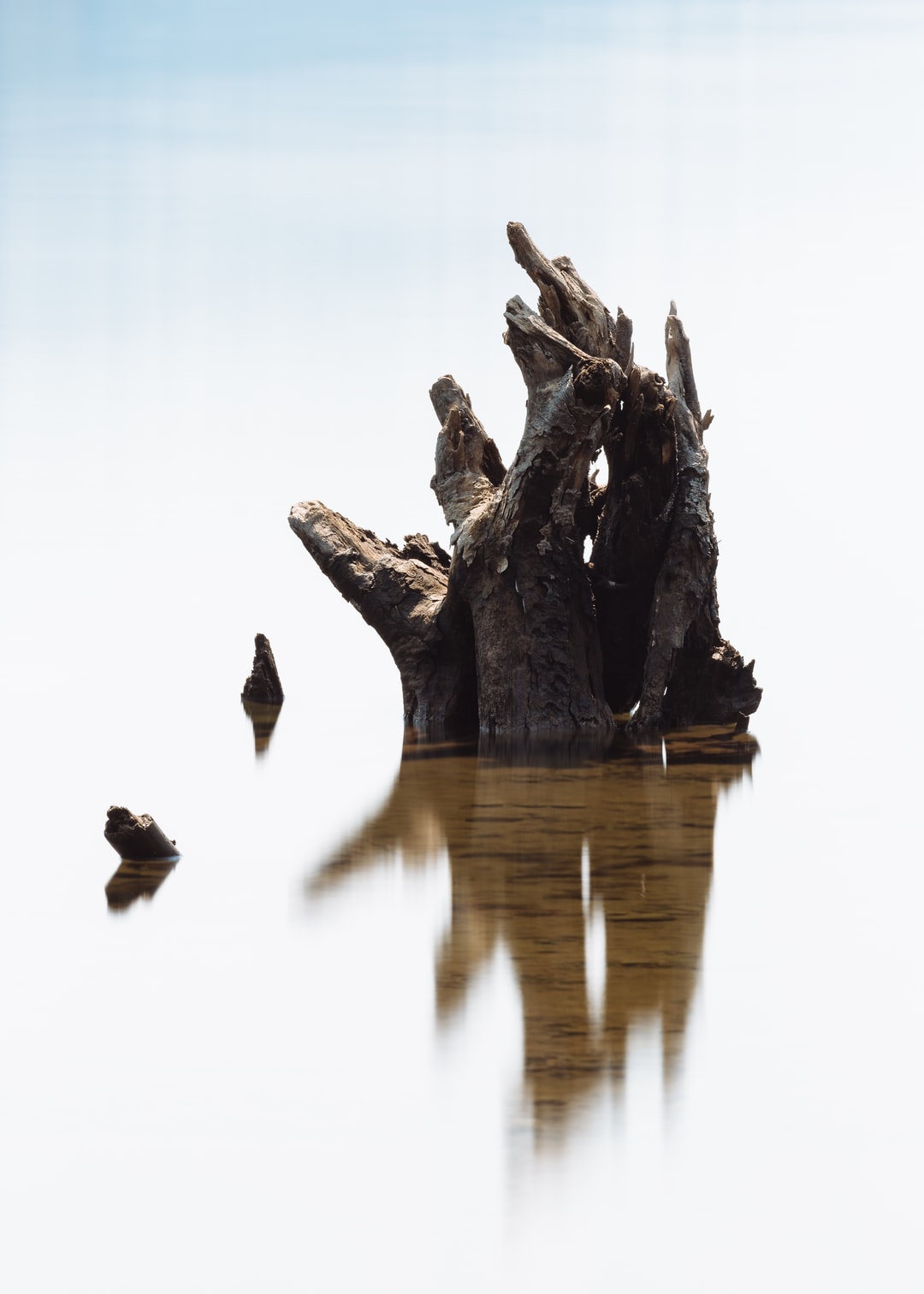 Read more about the article The new IPCC report and what you need to know