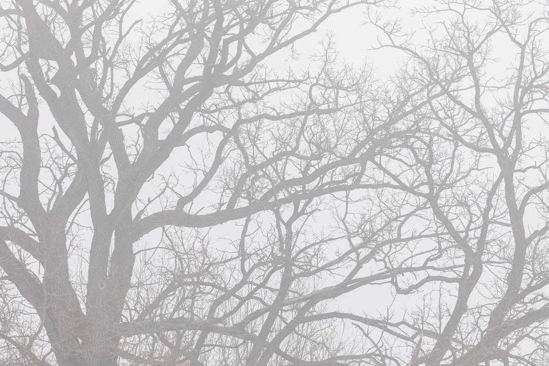 Read more about the article The Burn Test