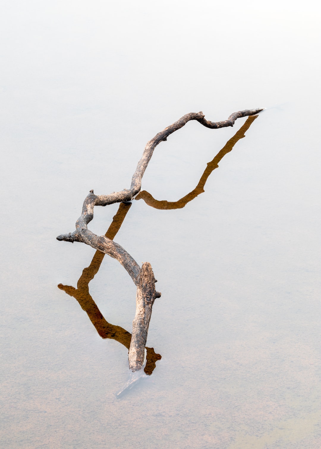 Read more about the article In ‘Cancer Alley,’ Judge Blocks Huge Petrochemical Plant