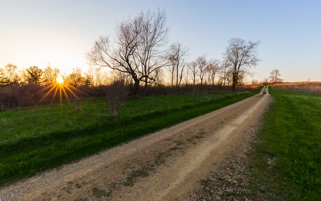 Read more about the article Lots of Food Gets Tossed. These Food-Waste Apps Let You Buy It, Cheap.