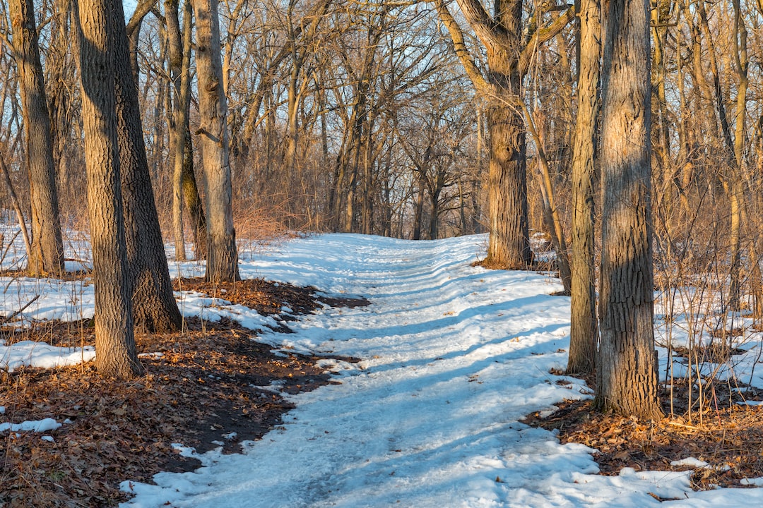 Read more about the article Federal Government’s $20 Billion Embrace of ‘Climate Smart’ Farming