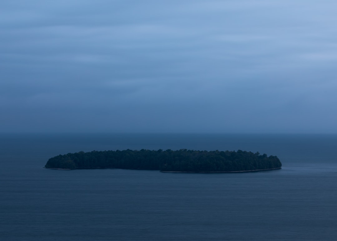 Read more about the article Coming Soon to New York: More Trees