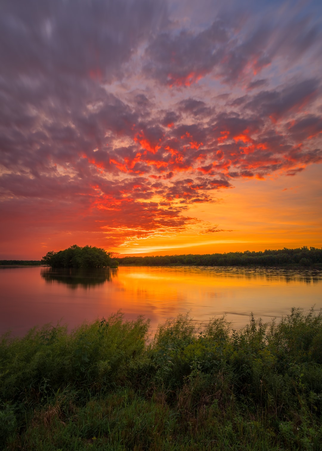 Read more about the article How to Save a Forest by Burning It