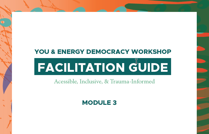 Module 3 - Facilitation Guide