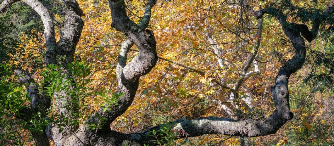 Your Tuesday Briefing