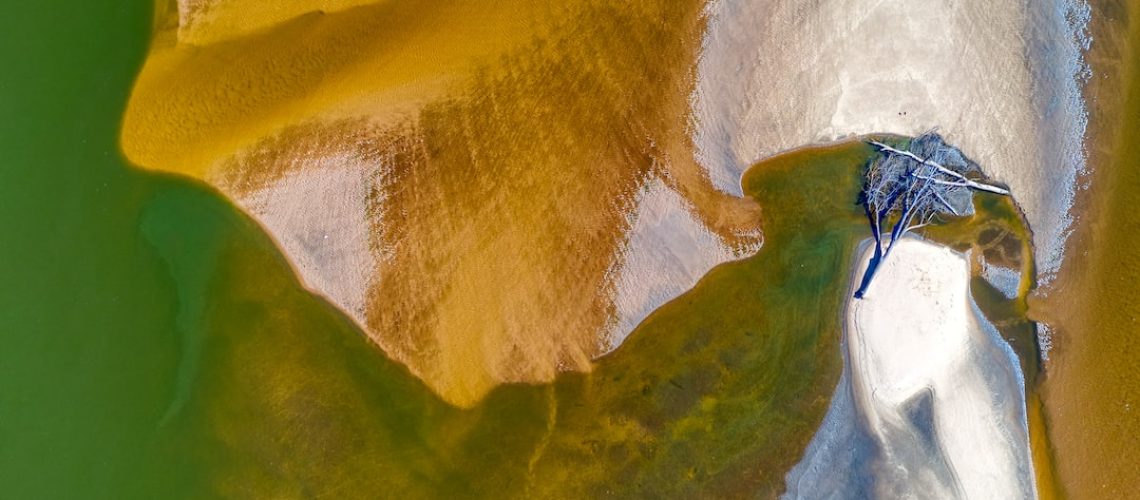 Of Barbecues and Men: A Summer Storm Brews Over Virility in France