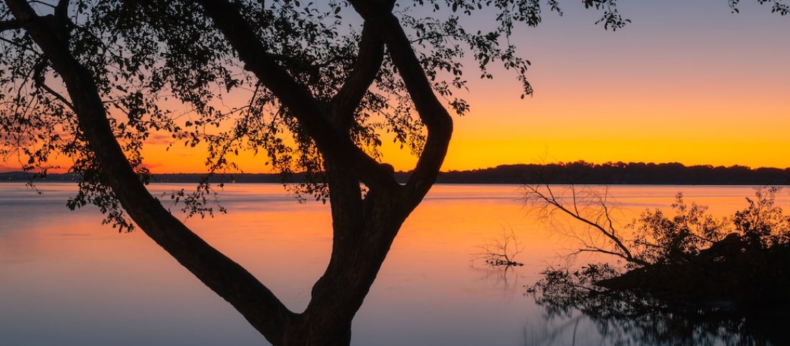 Why Putin’s War Is a Crime Against the Planet