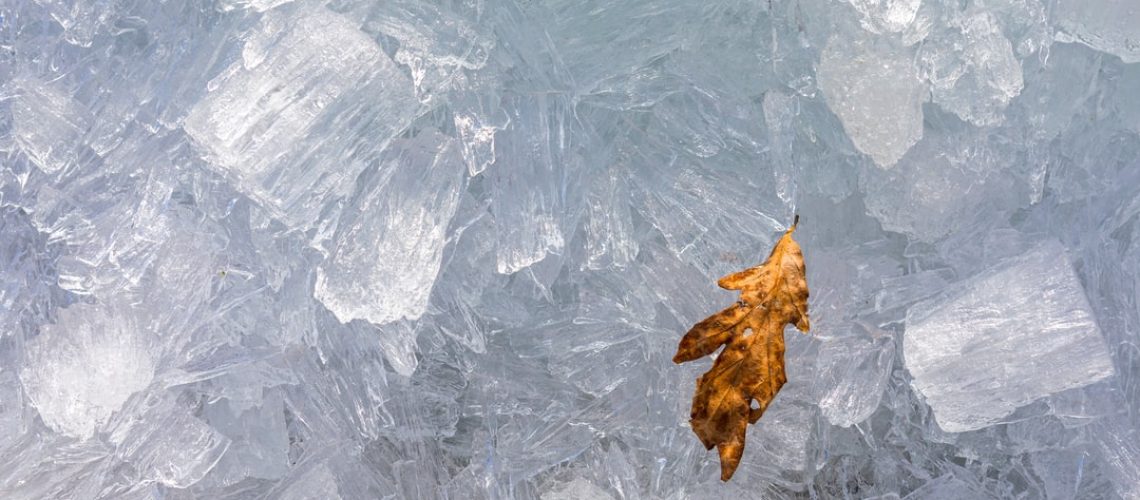 What Privilege Means in the Climate Crisis Fight