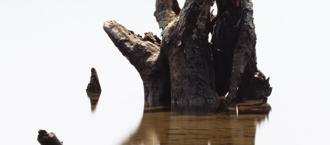 Democrats Seek $500 Billion in Climate Damages From Big Polluting Companies Democrats Seek $500 Billion in Climate Damages From Big Polluting Companies