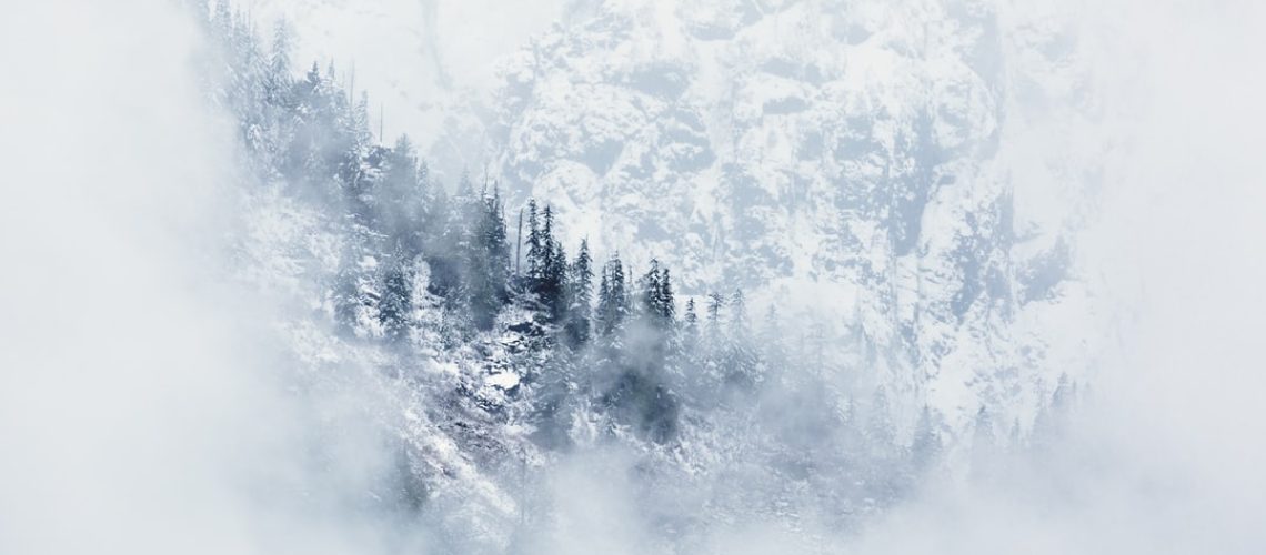 Where Is Biden’s Climate Change ‘Revolution’?