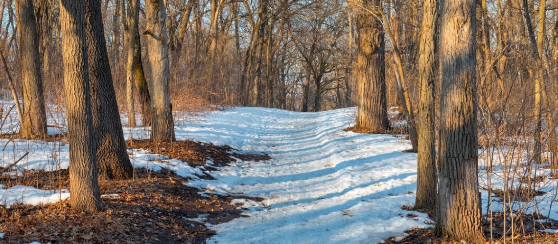 Carbon sequestration solutions explored in new study