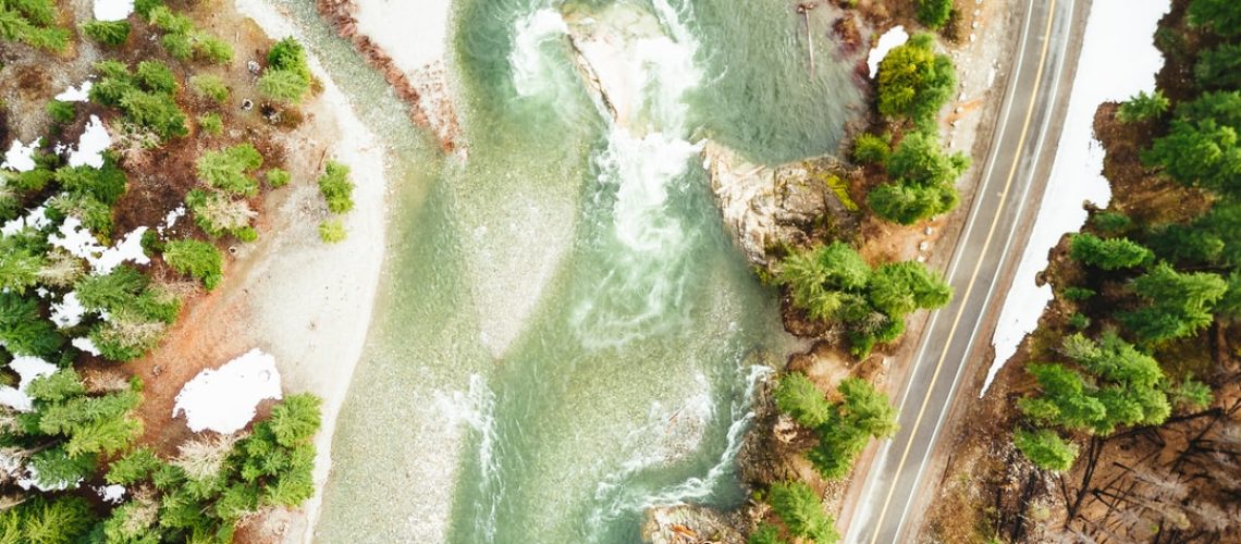 Innovative biomaterials to help the world replace plastic
