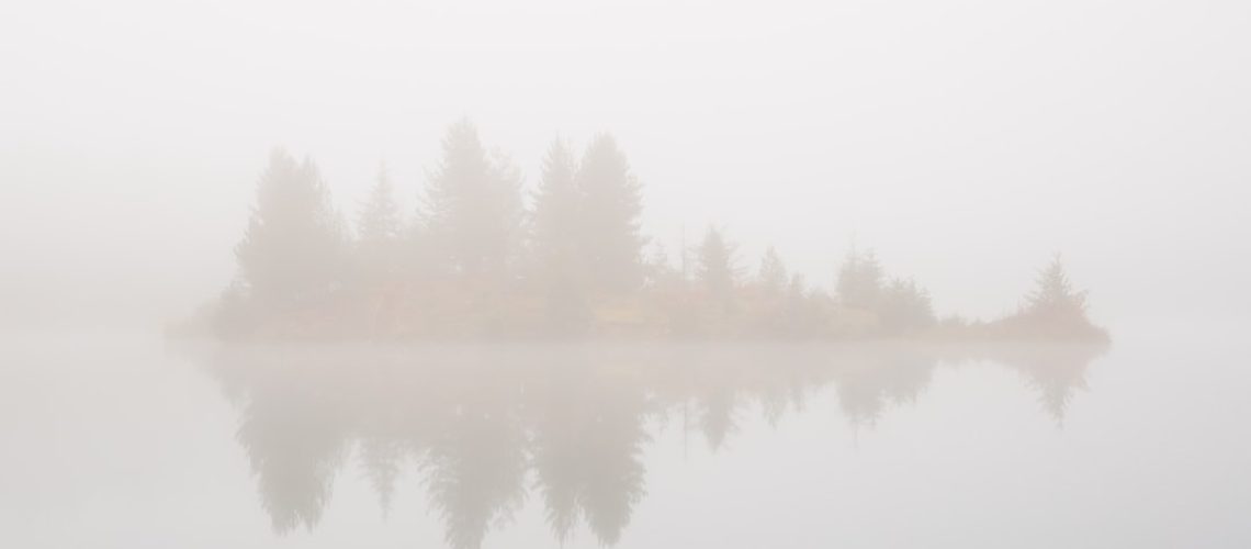 Research links air pollution and autoimmune diseases