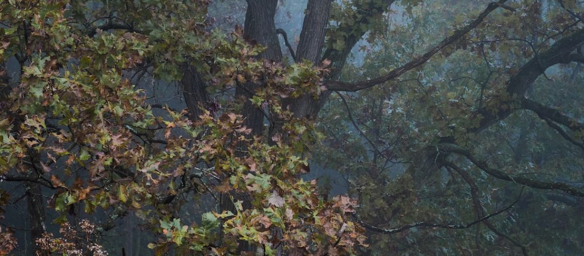 A $52 Billion Proposal Aims to Protect New York Harbor From Storm Surges