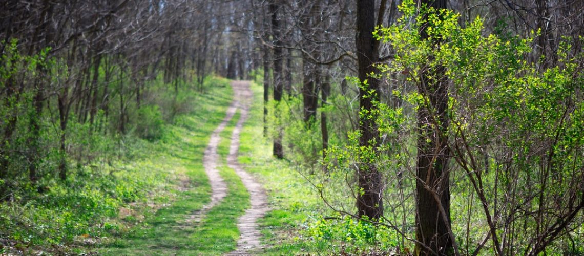 The biggest environmental news of the past decade