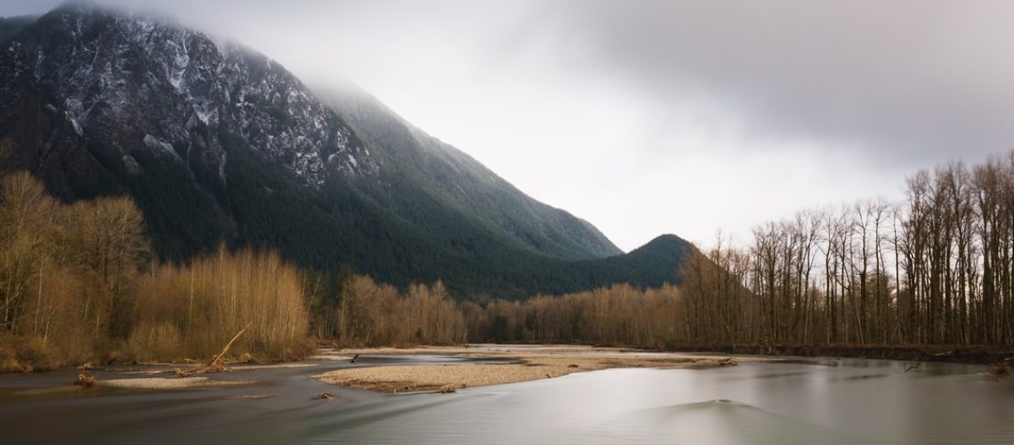 Bank on green by investing in the environment