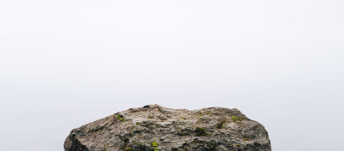 Ray of Hope Prize program names top 10 nature-inspired startups