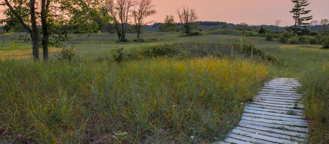 A Slow-Motion Climate Disaster: The Spread of Barren Land