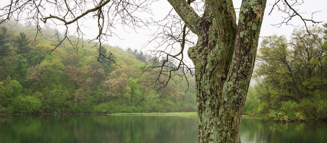 Dressing for Hot: How a Warming Planet Is Changing What We Wear