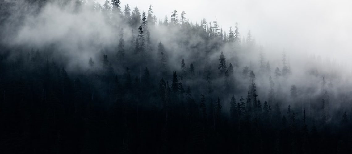 El pueblo francés olvidado por la cumbre del clima